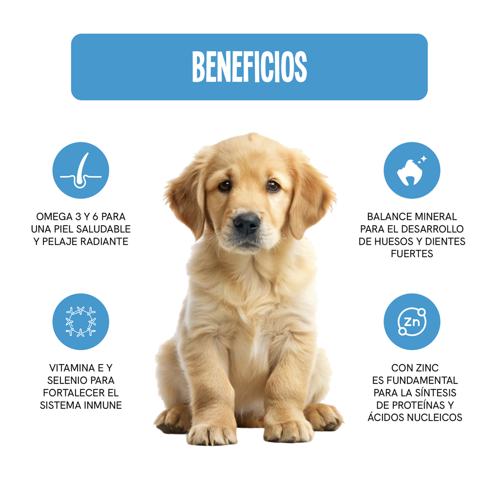 Fichas Tecnicas Productos-59.webp