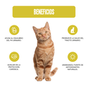 Fichas Tecnicas Productos-63.webp