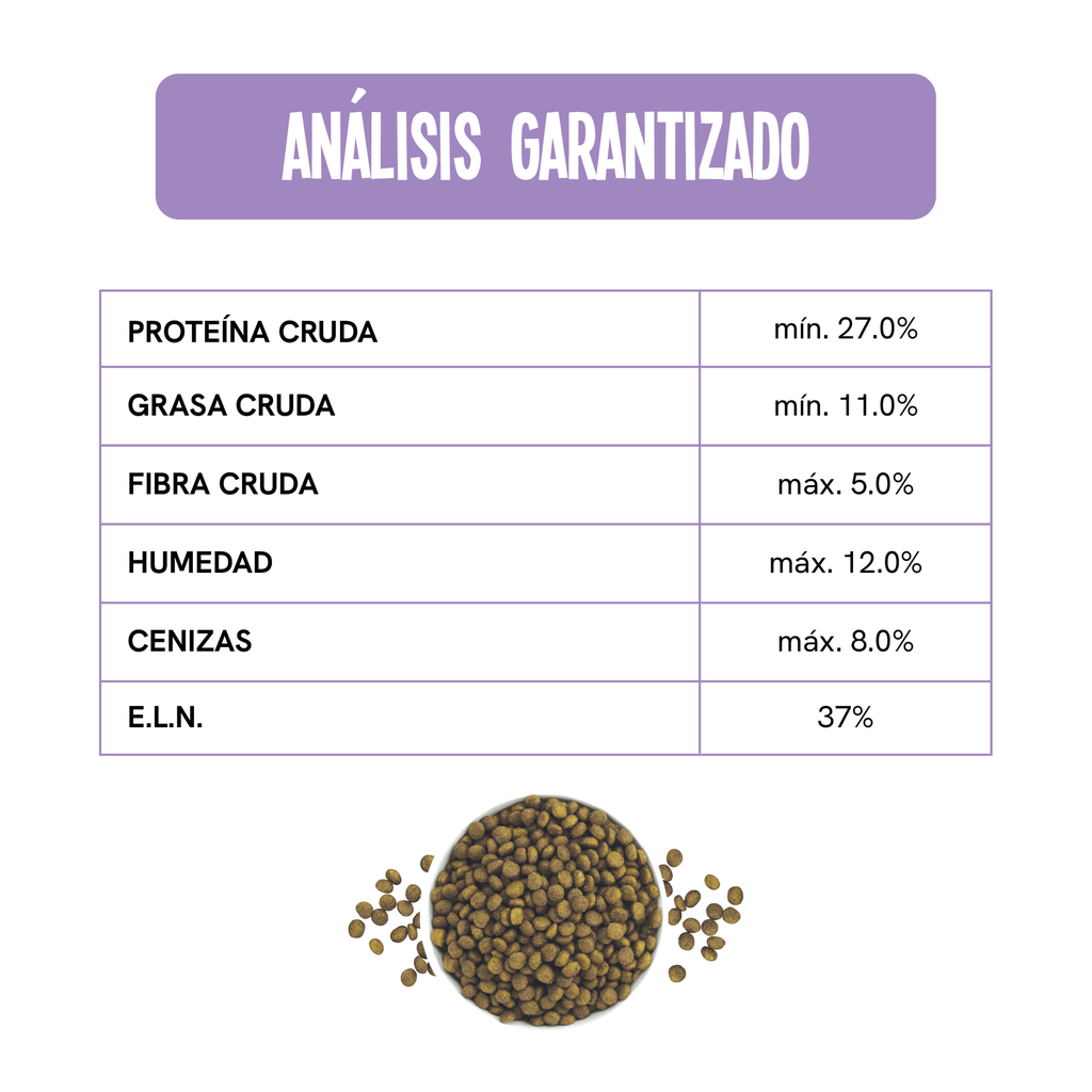 Fichas Tecnicas Productos-107.webp