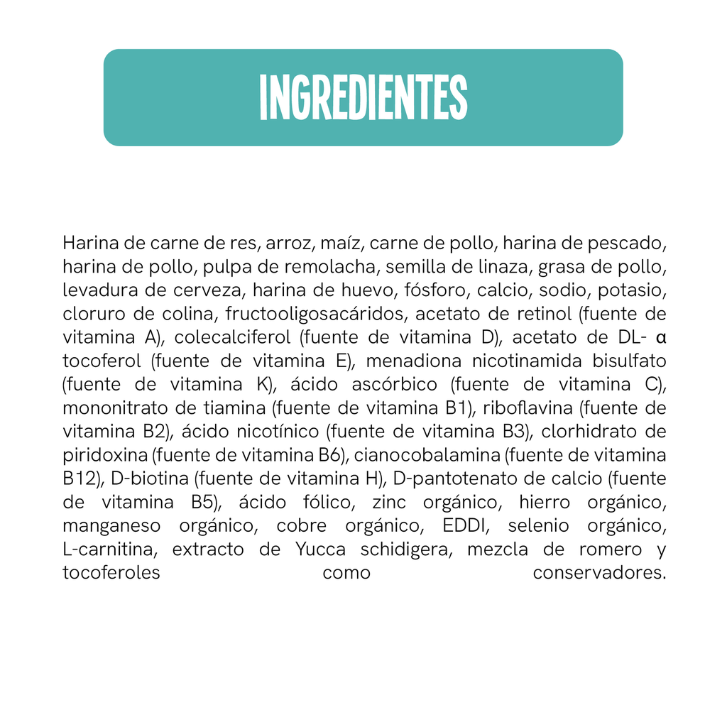 Fichas Tecnicas Productos-17.webp
