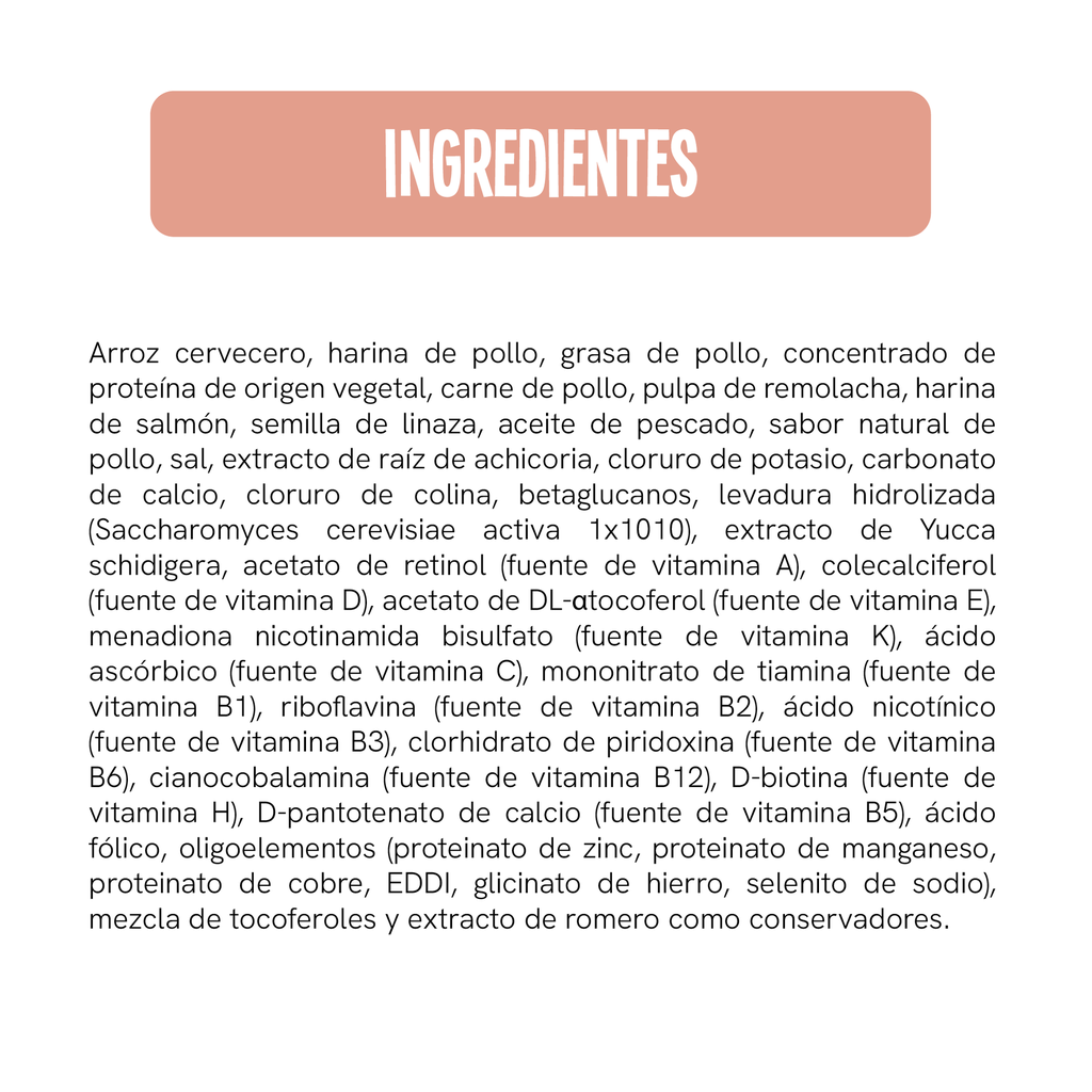 Fichas Tecnicas Productos.webp