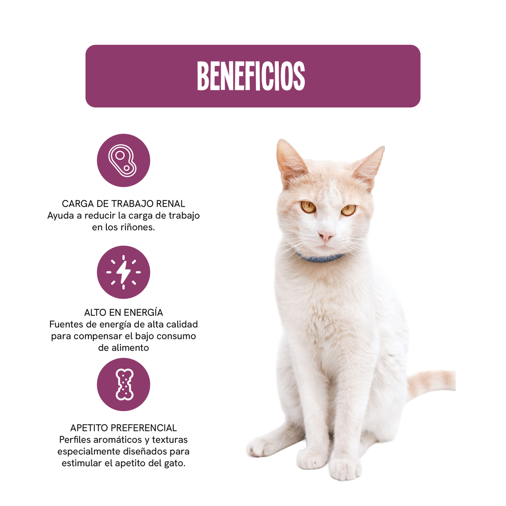 RCVET-FE-HM-RSD-85G_2.webp