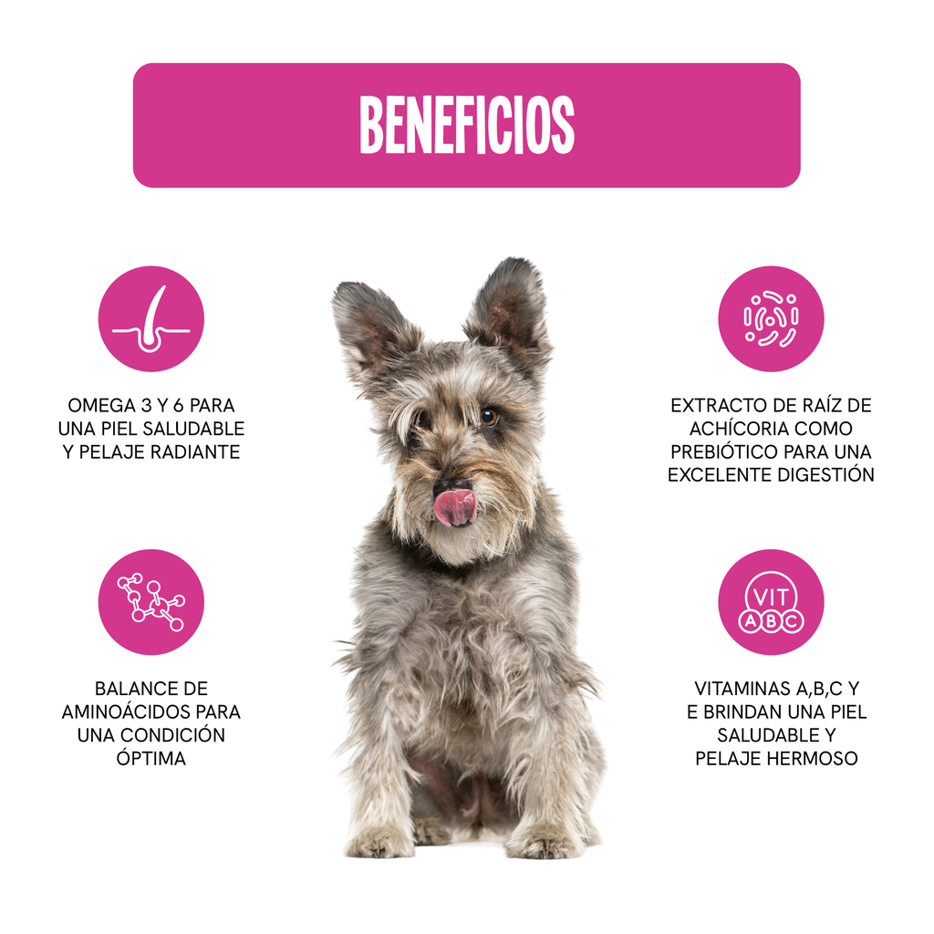 Fichas Tecnicas Productos-06.webp