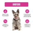 Fichas Tecnicas Productos-06.webp
