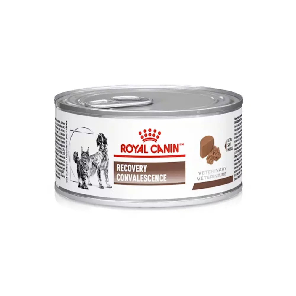 Royal Canin Prescripcion Alimento Humedo Recovery para Perro y Gato Adulto 145 g