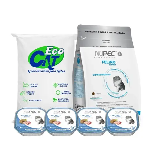 [PQ-FE-KT] Paquete Kitten